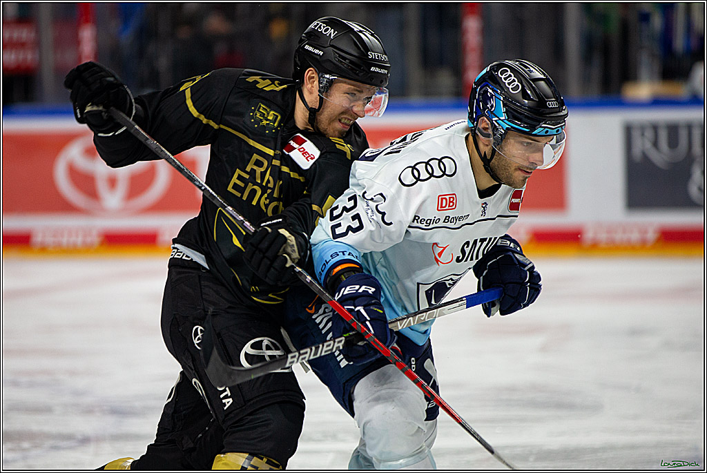 PENNY DEL;  Kölner Haie - ERC Ingolstadt; Köln, 25.11.2022